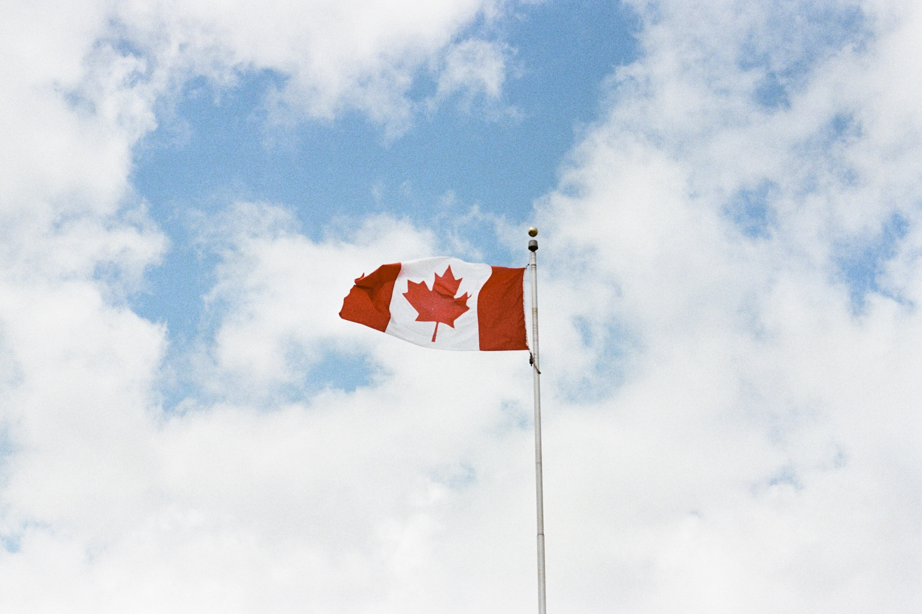 SEO in Canada - What's Worth Knowing?