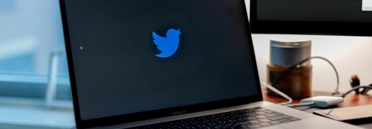 Twitter and SEO. Can Tweeting Improve Your Visibility in SERPs?