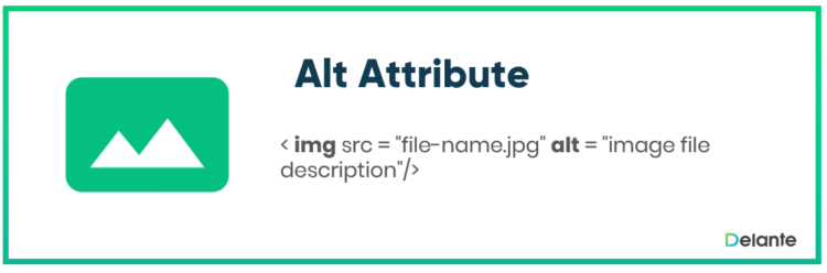 What is alt attribute