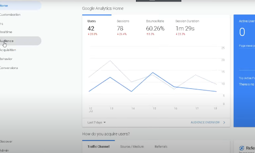 drop in organic traffic google analytics audience