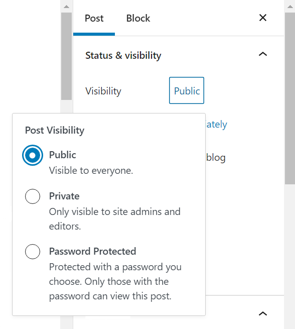 how to publish an article on wordpress visibility