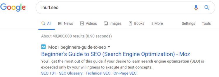 in url google search hack
