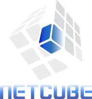 Case study - Netcube