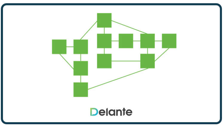 Network taxonomy illustration