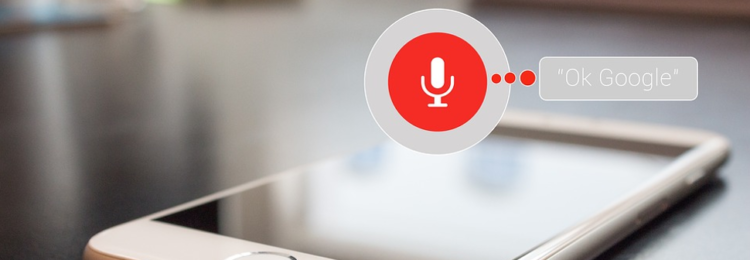 Voice Search Optimization: Do You Need It?